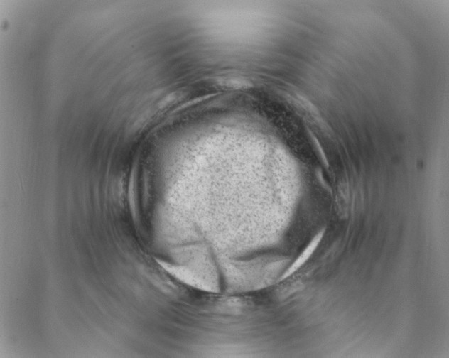 X0000088460330200706121510