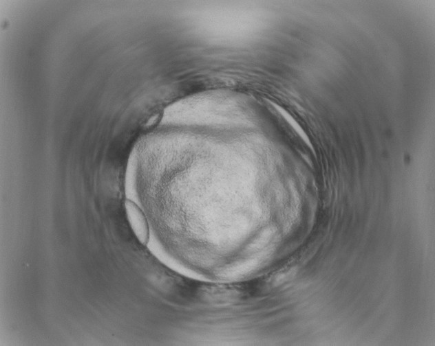 X0000088460331200706121510