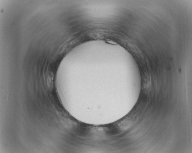 X0000088460332200706121510