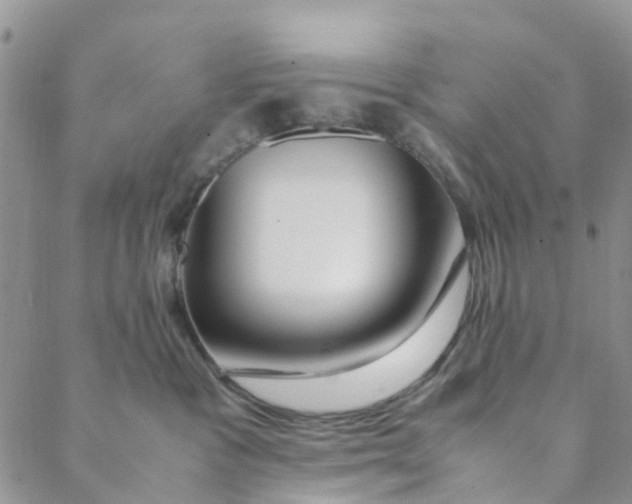 X0000088460333200706121510