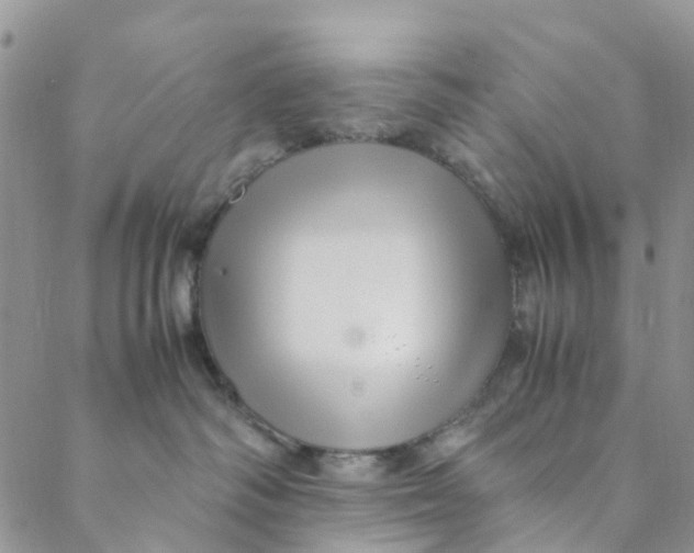 X0000088460334200706121510