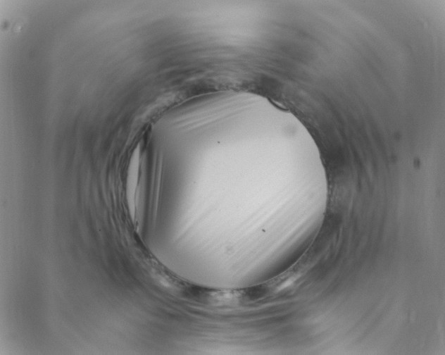 X0000088460335200706121510