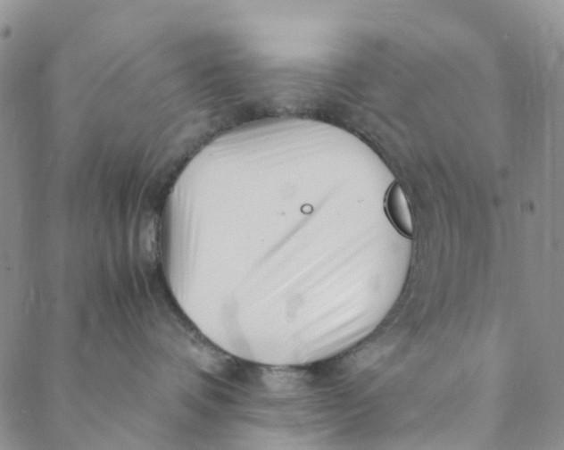 X0000088460336200706121510