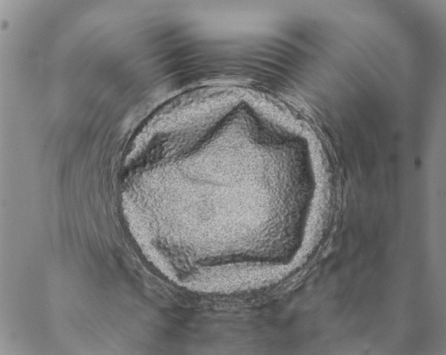 X0000088460337200706121510