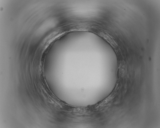 X0000088460338200706121510