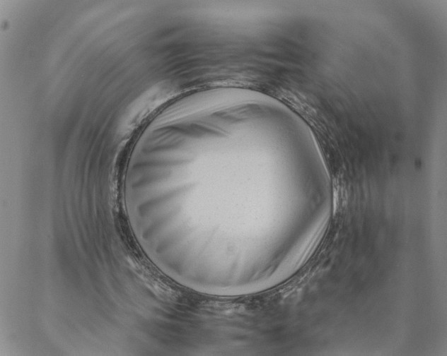 X0000088460339200706121510