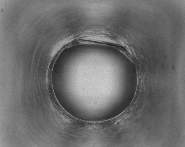 X0000088460340200706121510