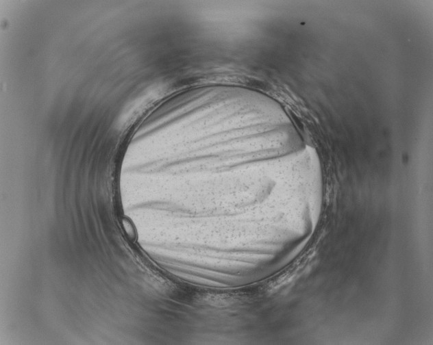 X0000088460341200706121510