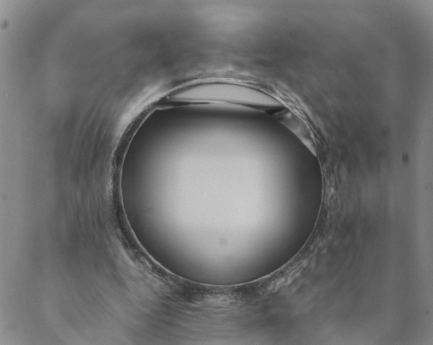 X0000088460344200706121510