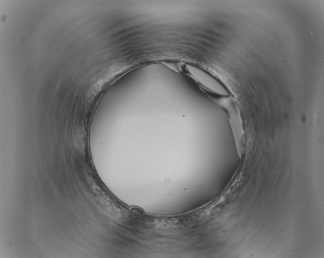 X0000088460345200706121510