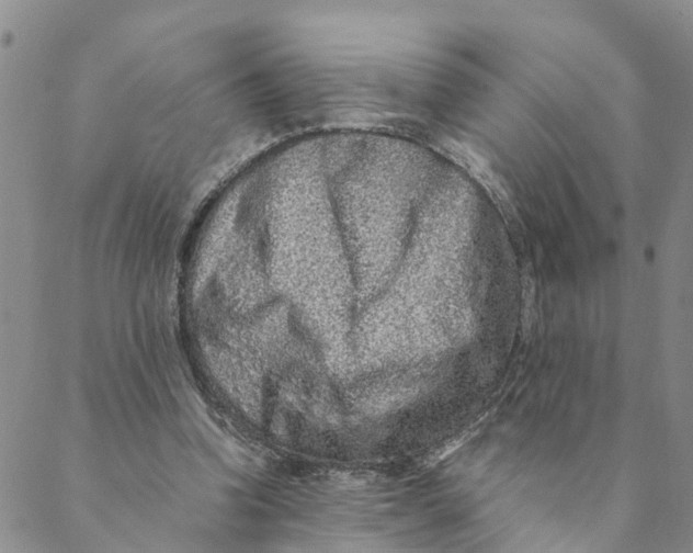 X0000088460346200706121510