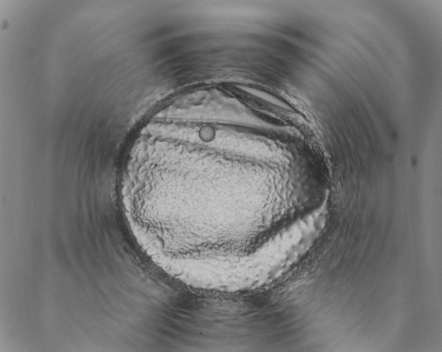 X0000088460347200706121510