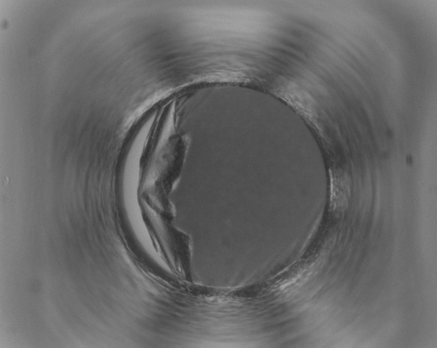 X0000088460348200706121510