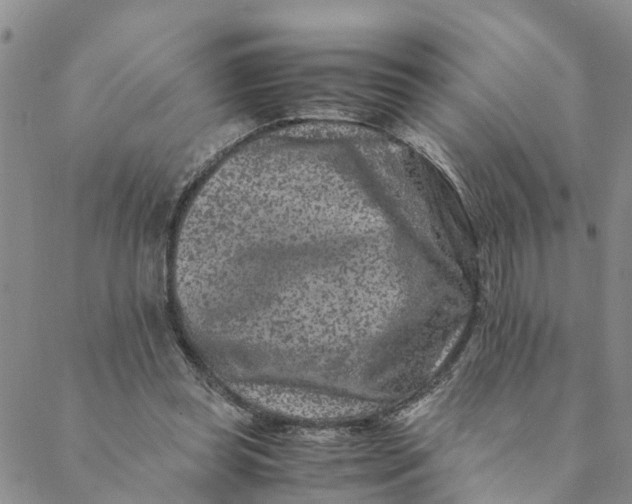 X0000088460349200706121510