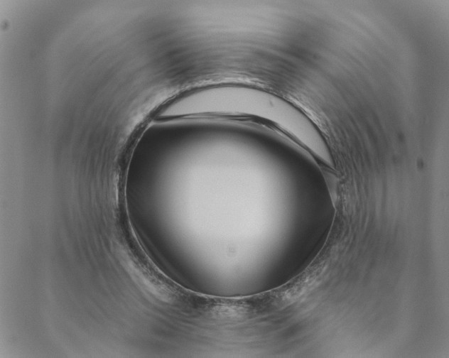 X0000088460350200706121510