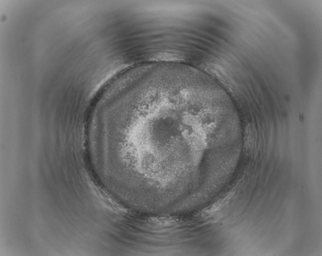 X0000088460351200706121510