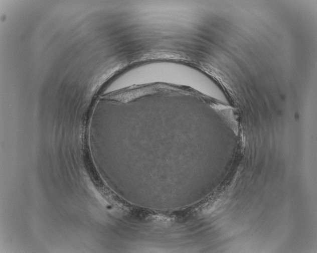 X0000088460352200706121510