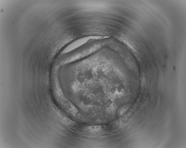 X0000088460353200706121510