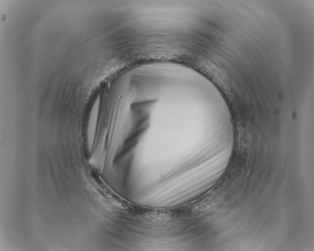 X0000088460354200706121510