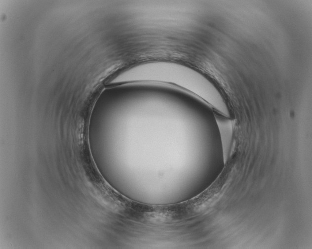 X0000088460356200706121510