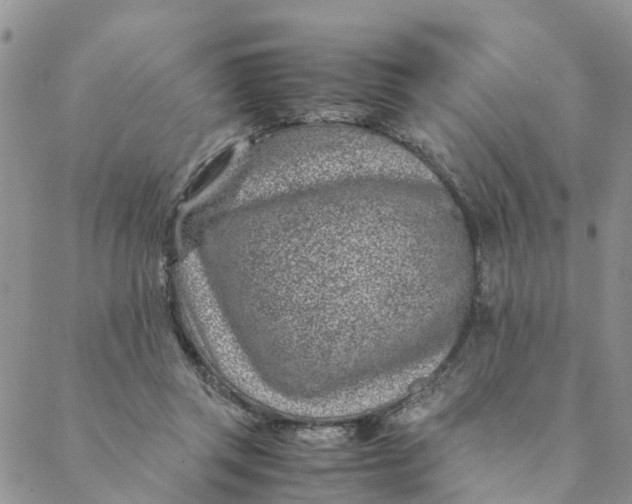 X0000088460357200706121510