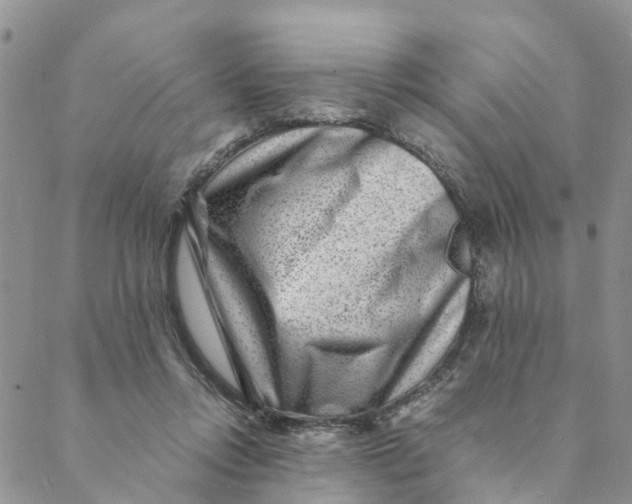 X0000088460358200706121510