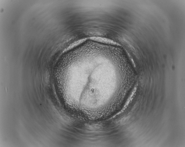 X0000088460359200706121510