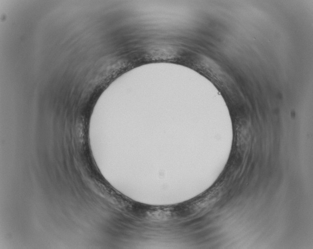 X0000088460362200706121510