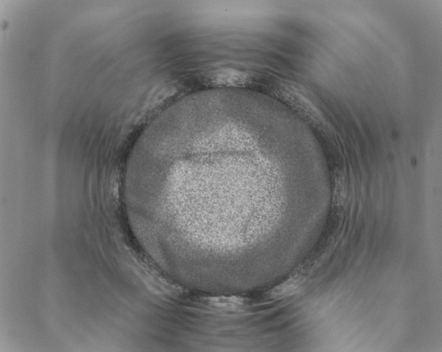 X0000088460363200706121510