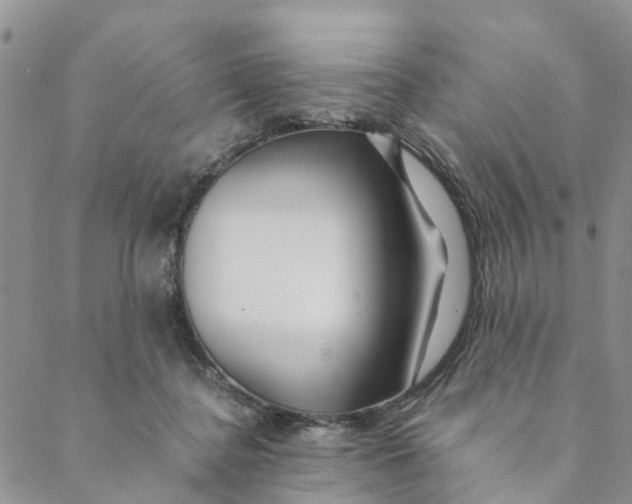 X0000088460364200706121510