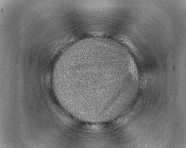 X0000088460365200706121510