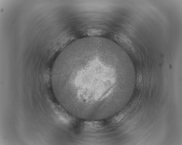 X0000088460367200706121510