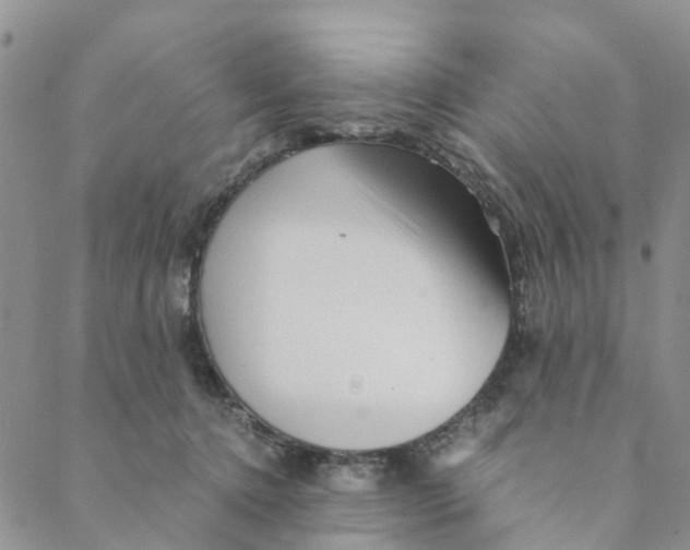 X0000088460368200706121510