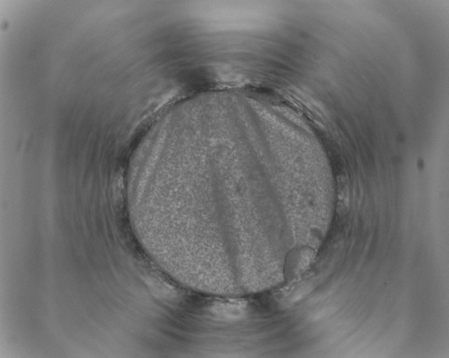 X0000088460369200706121510