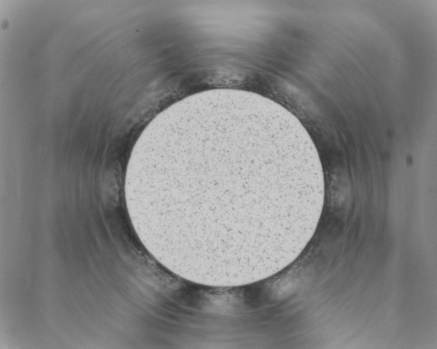 X0000088460370200706121510