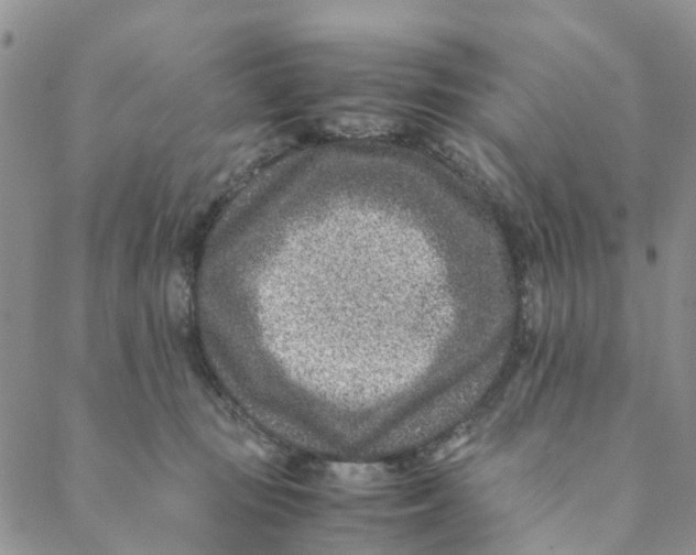 X0000088460371200706121510