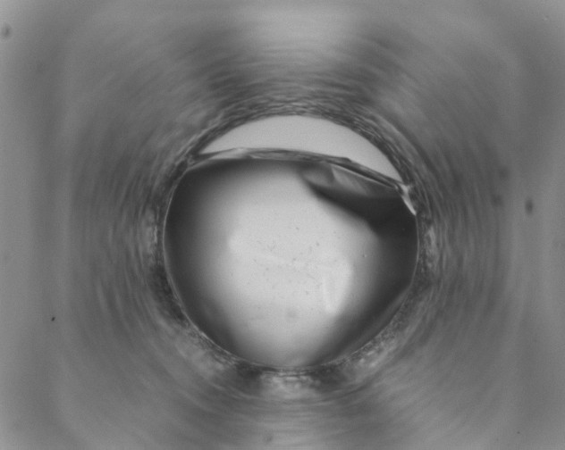 X0000088460372200706121510