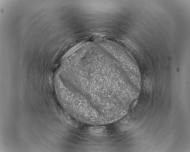 X0000088460373200706121510