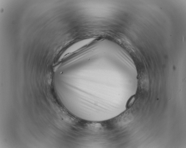 X0000088460374200706121510