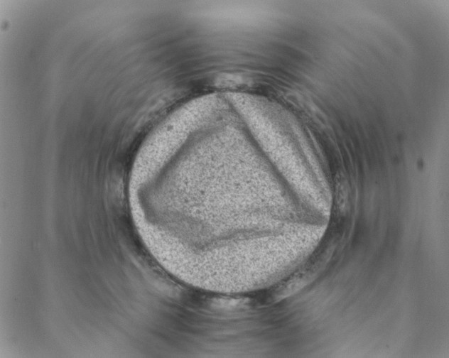 X0000088460375200706121510