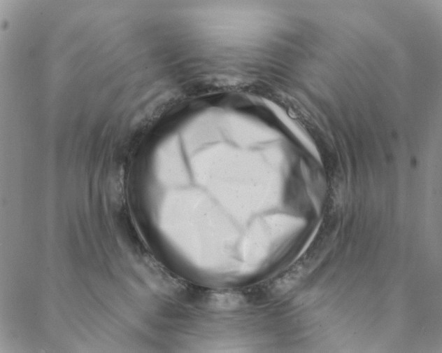 X0000088460376200706121510