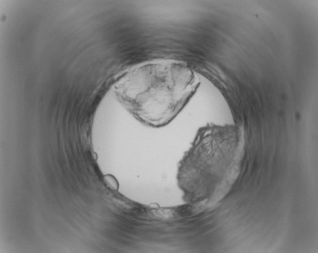 X0000088460377200706121510