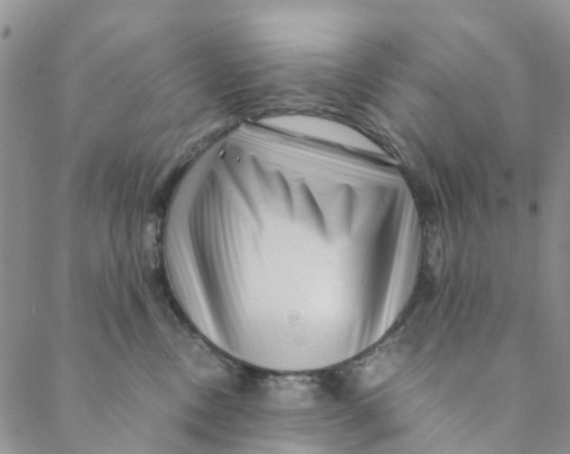 X0000088460378200706121510