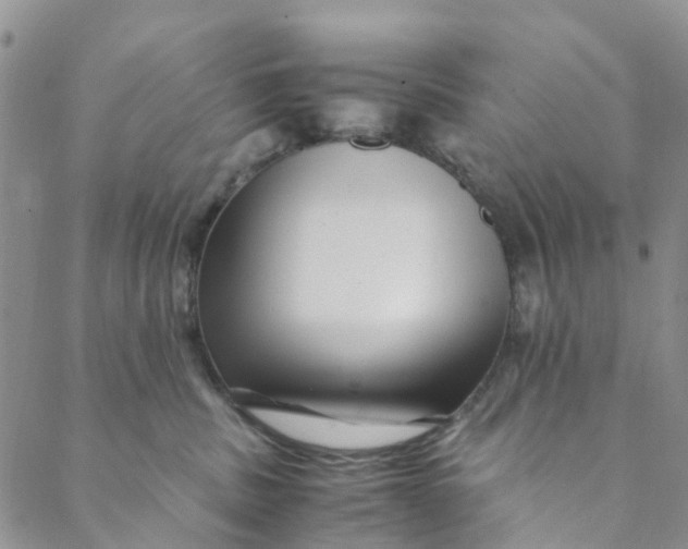 X0000088460379200706121510