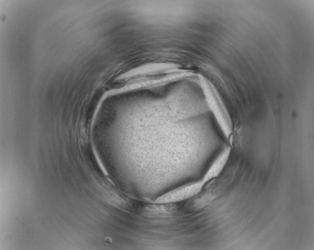 X0000088460381200706121510