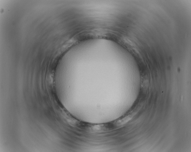 X0000088460382200706121510