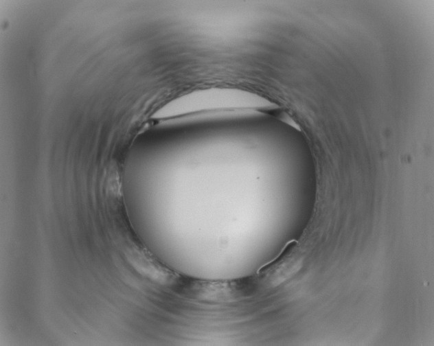 X0000088460384200706121510