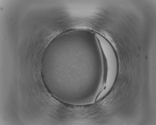 X0000088460385200706121510