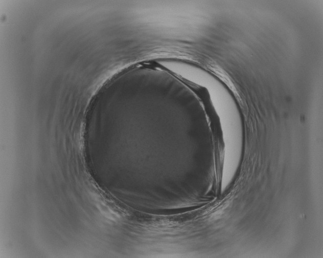 X0000088460387200706121510