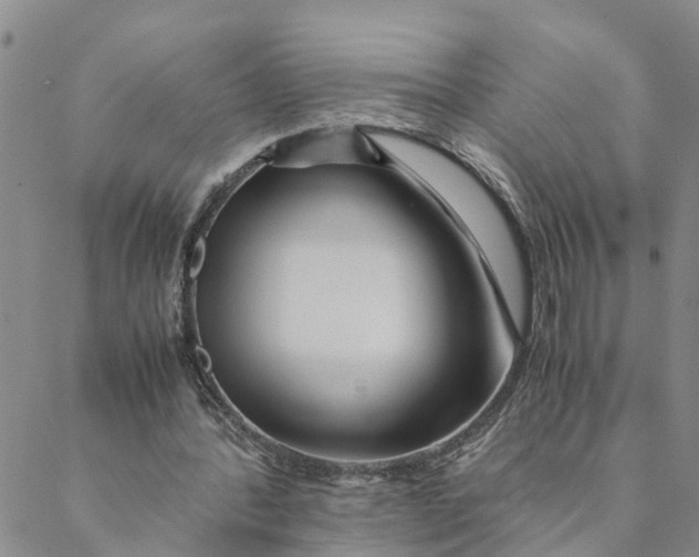 X0000088460388200706121510